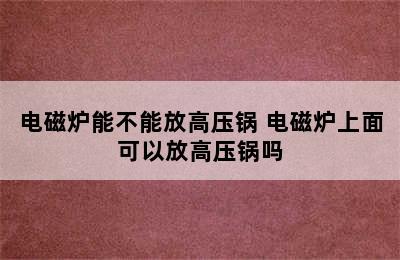 电磁炉能不能放高压锅 电磁炉上面可以放高压锅吗